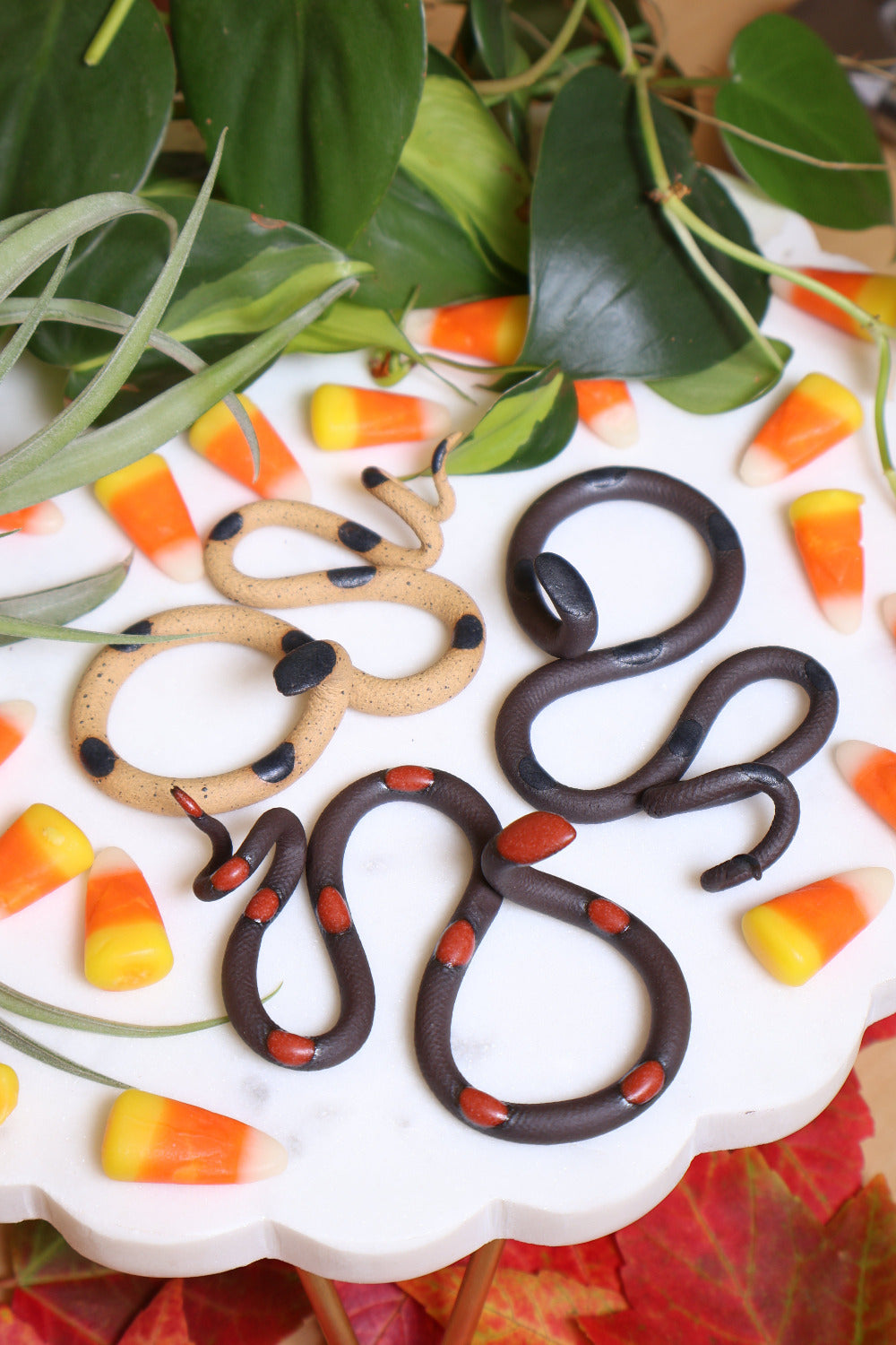 Three small ceramic snakes on a white platter surrounded by festive candy corn and fall leaves. The snakes are Sammy (tan with black spots), Saul (black with black spots) and Squash (black with red orange spots)