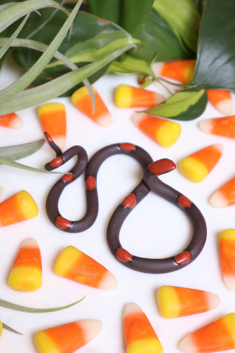 Cute small s-shaped pottery snake sculpture in the colorway Squash, a dark brown clay body with a red-orange glazed head and evenly spaced small dots. Squash is surrounded by festive candy corn. 