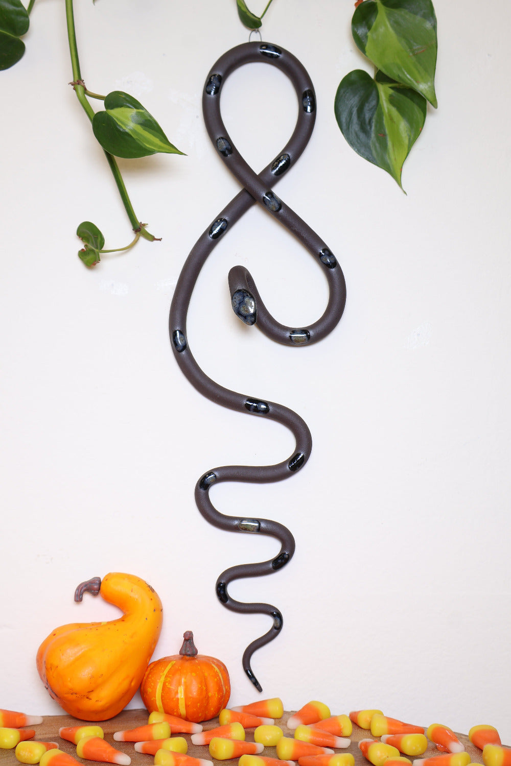 Dark chocolate speckled clay vertical wall snake sculpture with black crystalline burst glazed dots. This colorway is Saul. The top of the snake crosses like a figure eight and the tail hangs down in an organic s curve. It  hangs vertically from a small metal loop on a white wall with vining pothos and candy corn and squash on the table below.