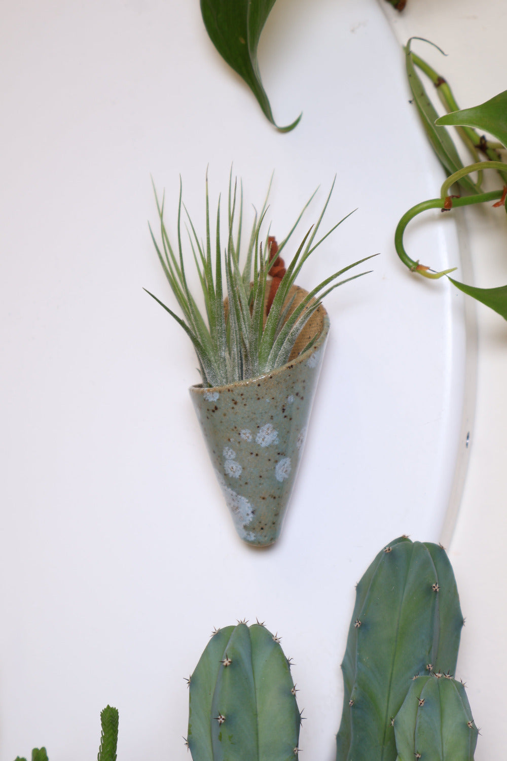Three tiny ceramic magnet cones, attached to a magnetic fridge with air plants.