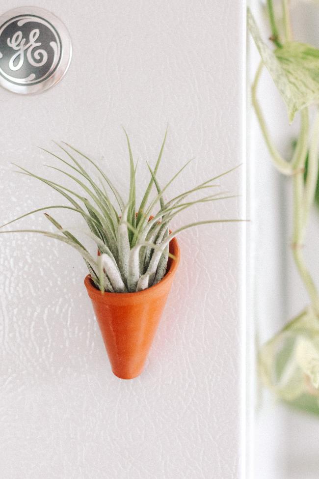magnetic plant hanger Mini Wall Planter Magnet