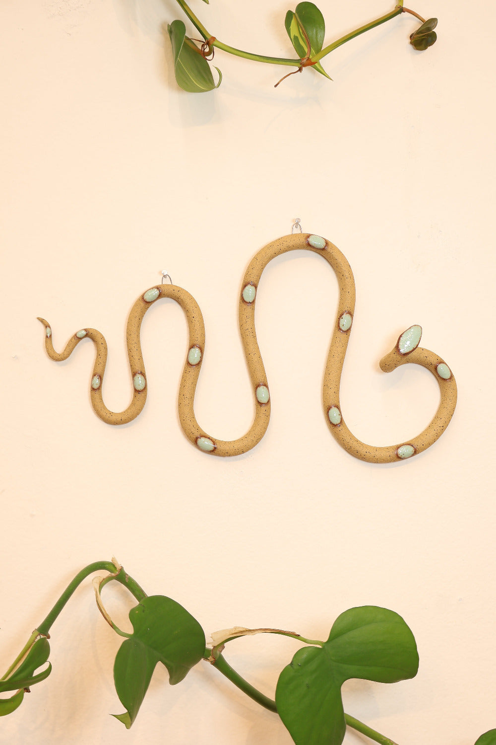 Decorative items including a snake figure, plant pots, and air plants on a light surface.