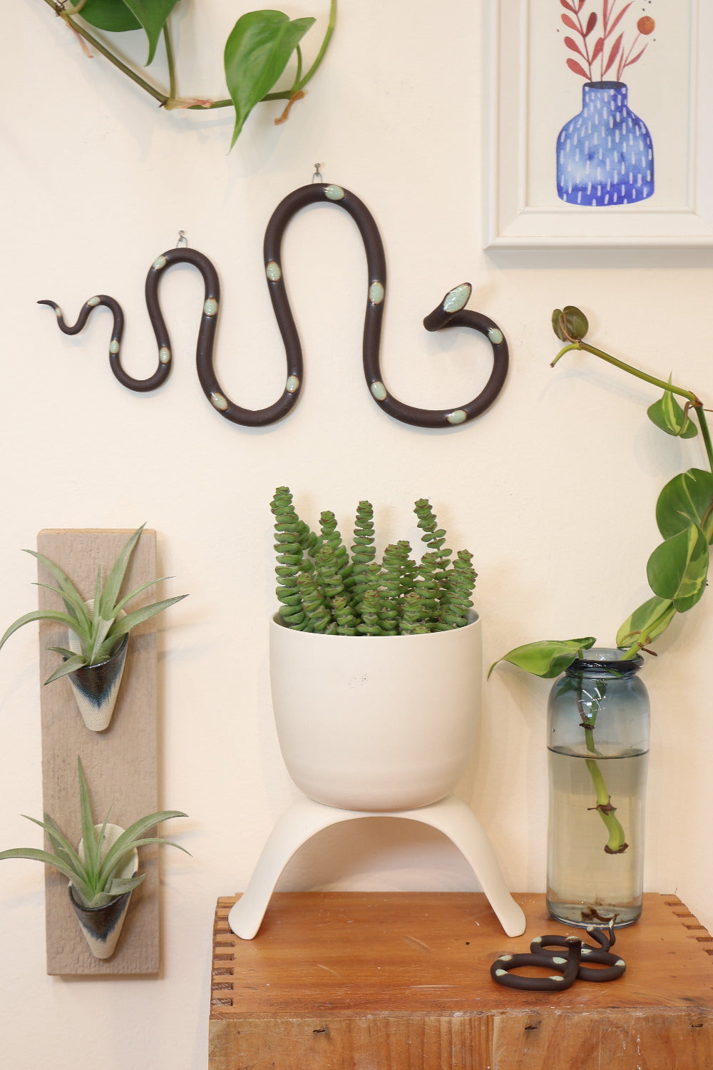 Decorative items including a snake figure, plant pots, and air plants on a light surface.
