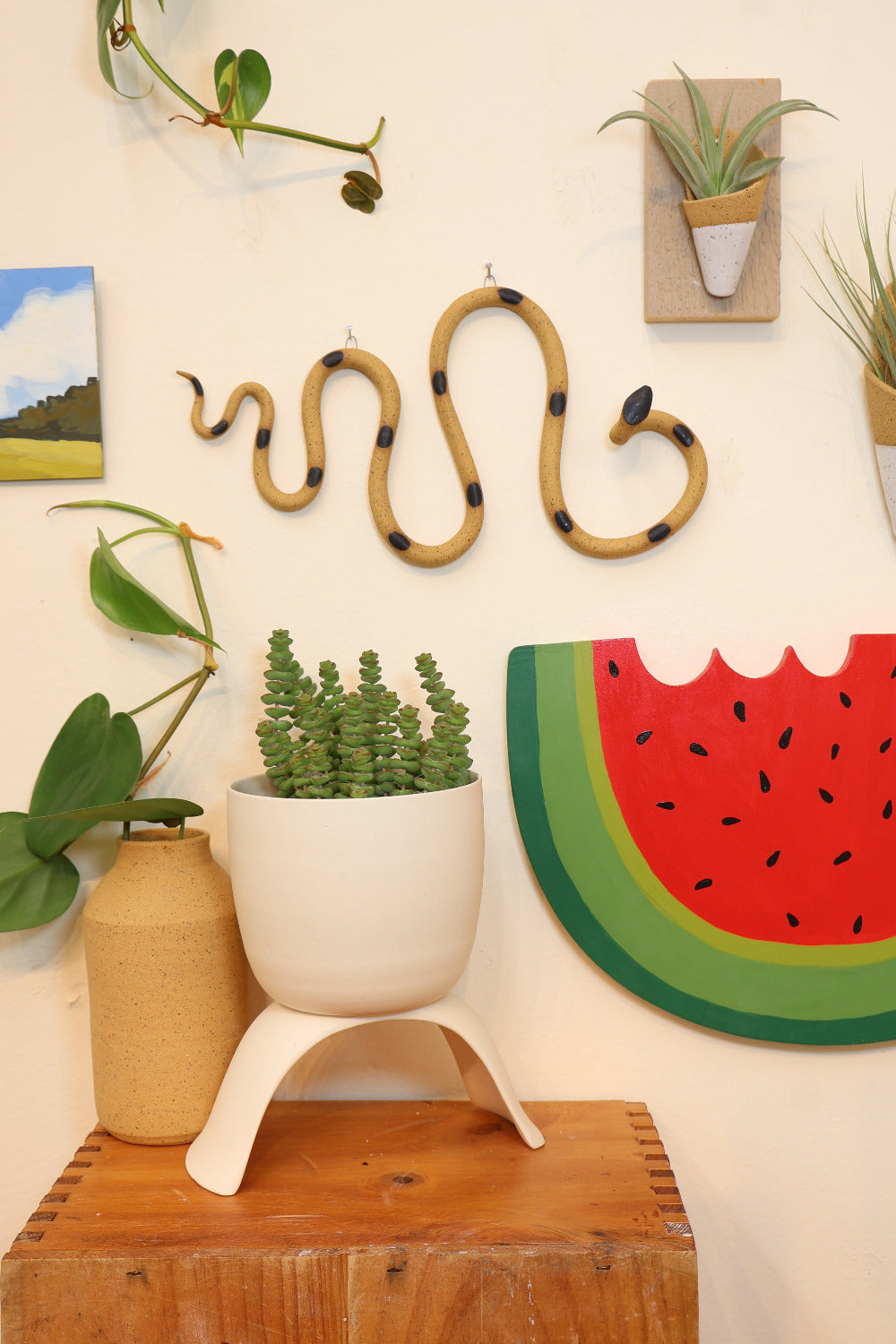 Decorative horizontal Sammy snake hanging on a wall next to a decorative watermelon painting, a watercolor and small air plant vase.. The snake hangs above a wooden shelf with a white bud vase, a speckled clay vase and a small Stevie snake. 