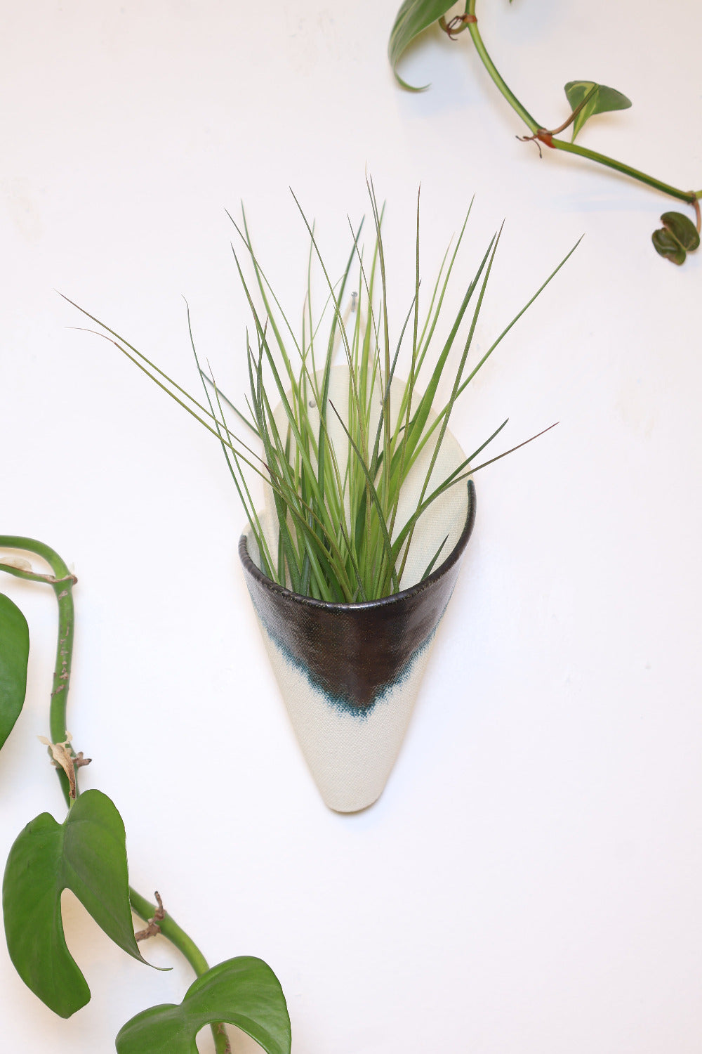 A ceramic wall planter with a faux leather hanging strap. The planter is shaped like a cone and is made with ivory clay and has a brushed indigo glaze design. It's holding a green air plant.