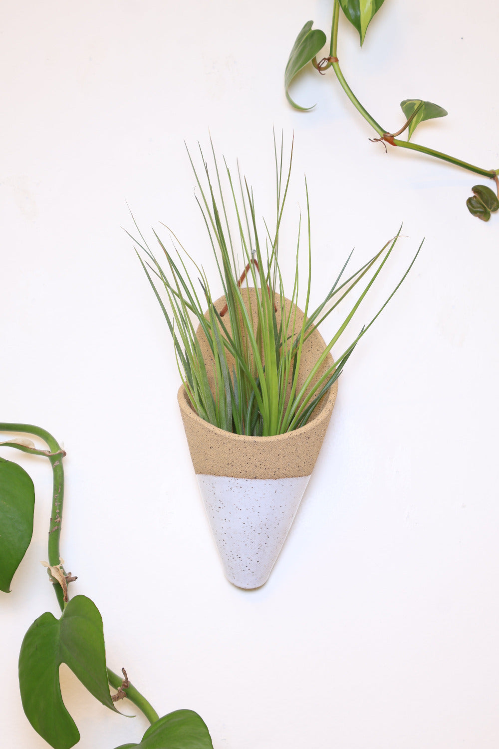 A ceramic wall planter with a faux leather hanging strap. The planter is shaped like a cone and is made with a tan clay and is dipped in a white speckled glaze. It's styled with a green spikey air plant inside the cone. 