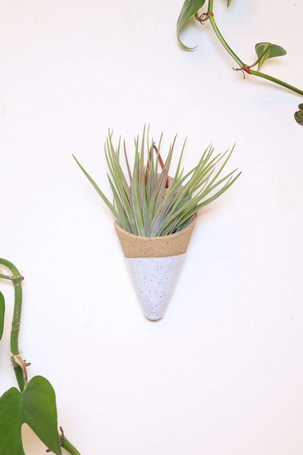 Speckled tan ceramic cone-shaped planter with dipped in a white glaze and is styled with a spikey green air plant hanging on a white wall from a faux leather loop.