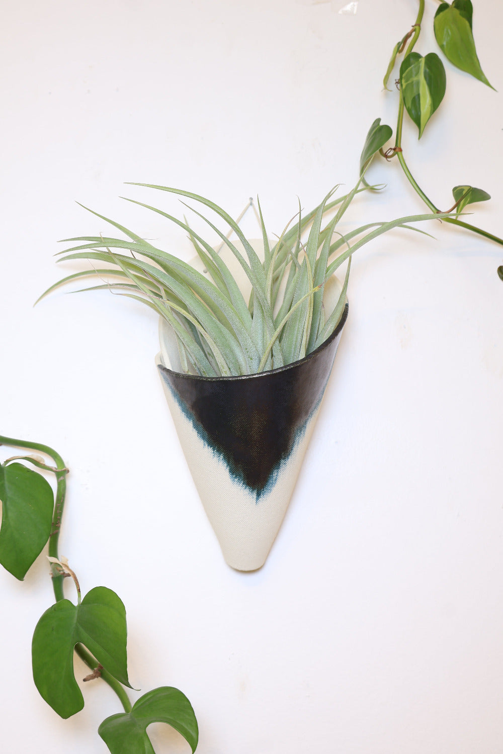 A jumbo ceramic wall planter with a faux leather hanging strap. The planter is shaped like a cone and formed from an ivory clay and has a brushed indigo glaze design. The cone is styled with a full green air plant. 