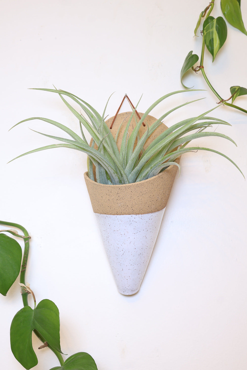 A jumbo ceramic wall planter with a faux leather hanging strap. The planter is shaped like a cone and is made with a tan clay and is dipped in a white speckled glaze. It's styled with a green spikey air plant inside the cone. 