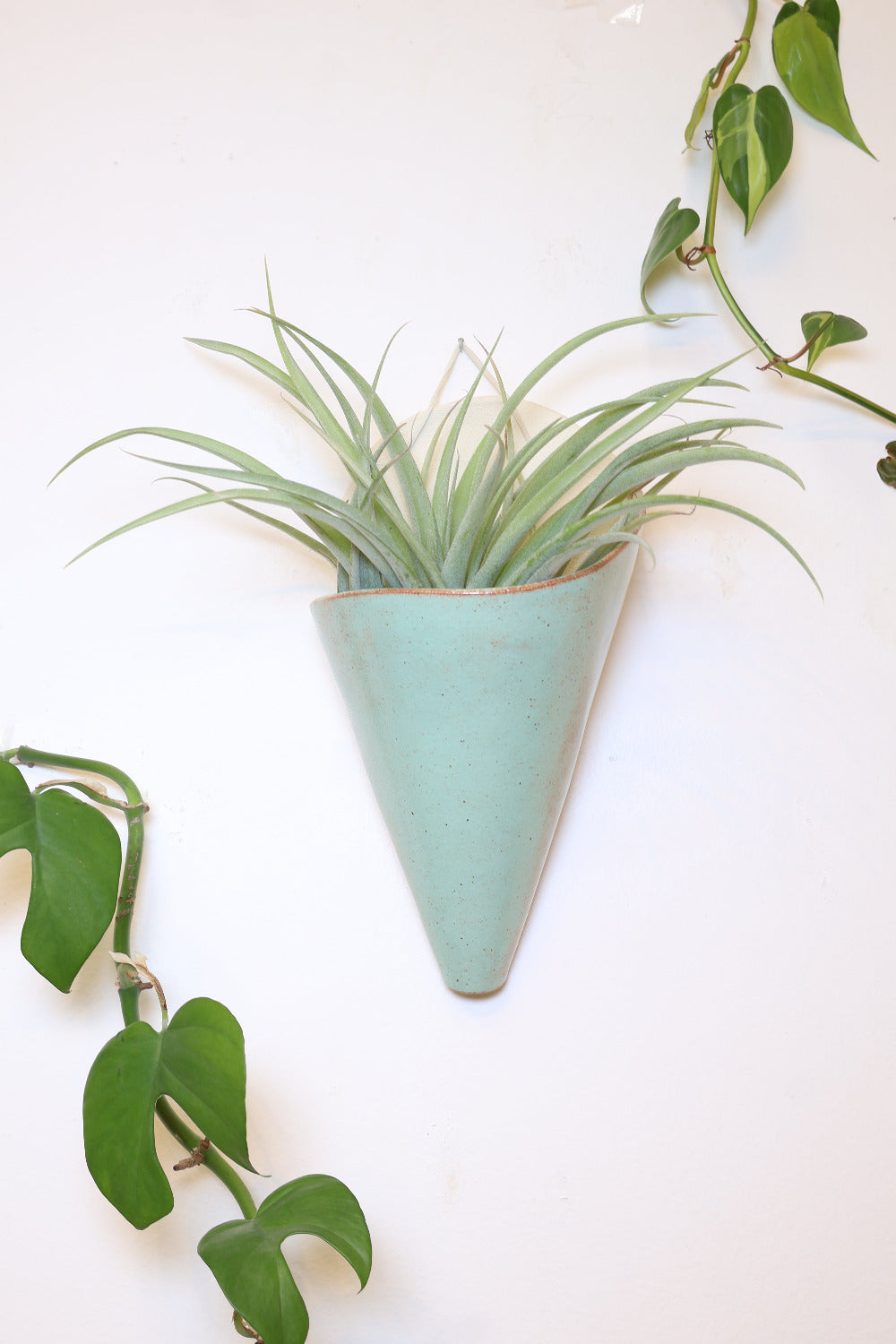 A jumbo ceramic wall planter with a faux leather hanging strap. The planter is shaped like a cone and formed from an ivory clay and is glazed with a light turquoise glaze with warm rust accents. The cone is styled with a large green air plant.
