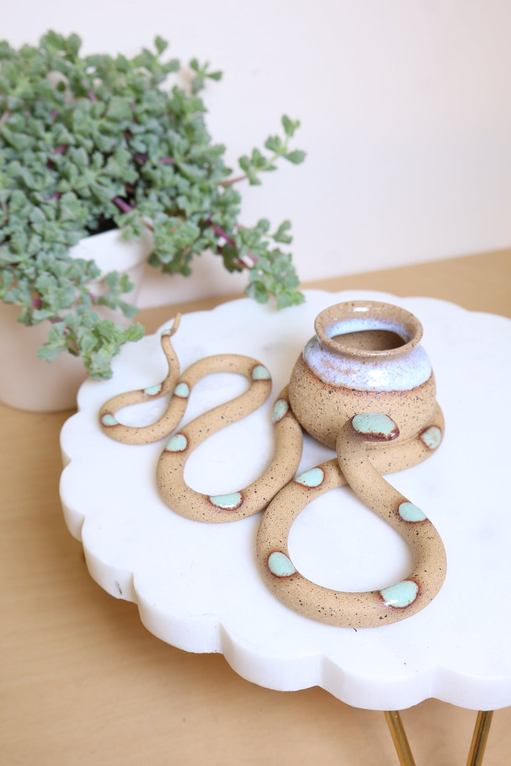 The collection of snake bud vase all together styled with air plants. 