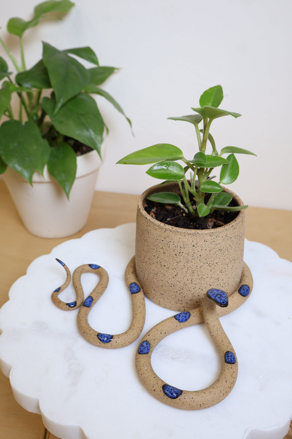 Wavy ceramic snake wrapped around a small plant pot with a potted plant. The snake and pot are made out of a speckled tan clay and the snake has a glazed blue head and dots. This snake is Selena.