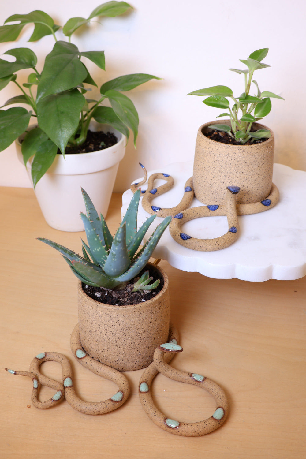 The Selma and Selena snake pots styled with potted plants. Selma (tan with green spots) is in the foreground and Selena (tan with blue spots) is in the background. 