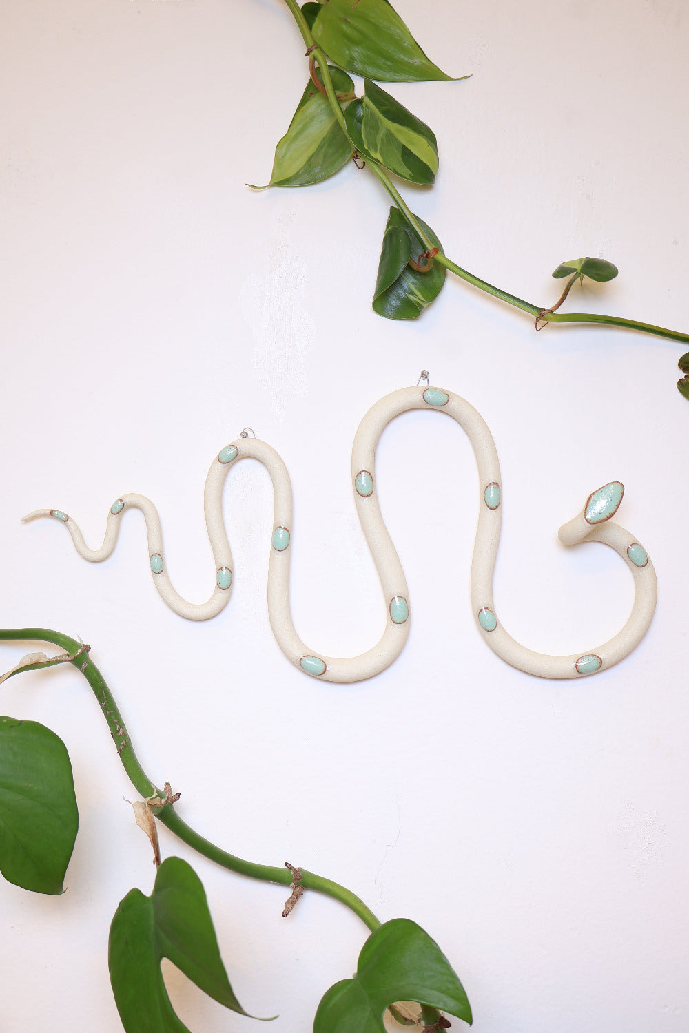 snake plant wall planter Horizontal Wall Snake