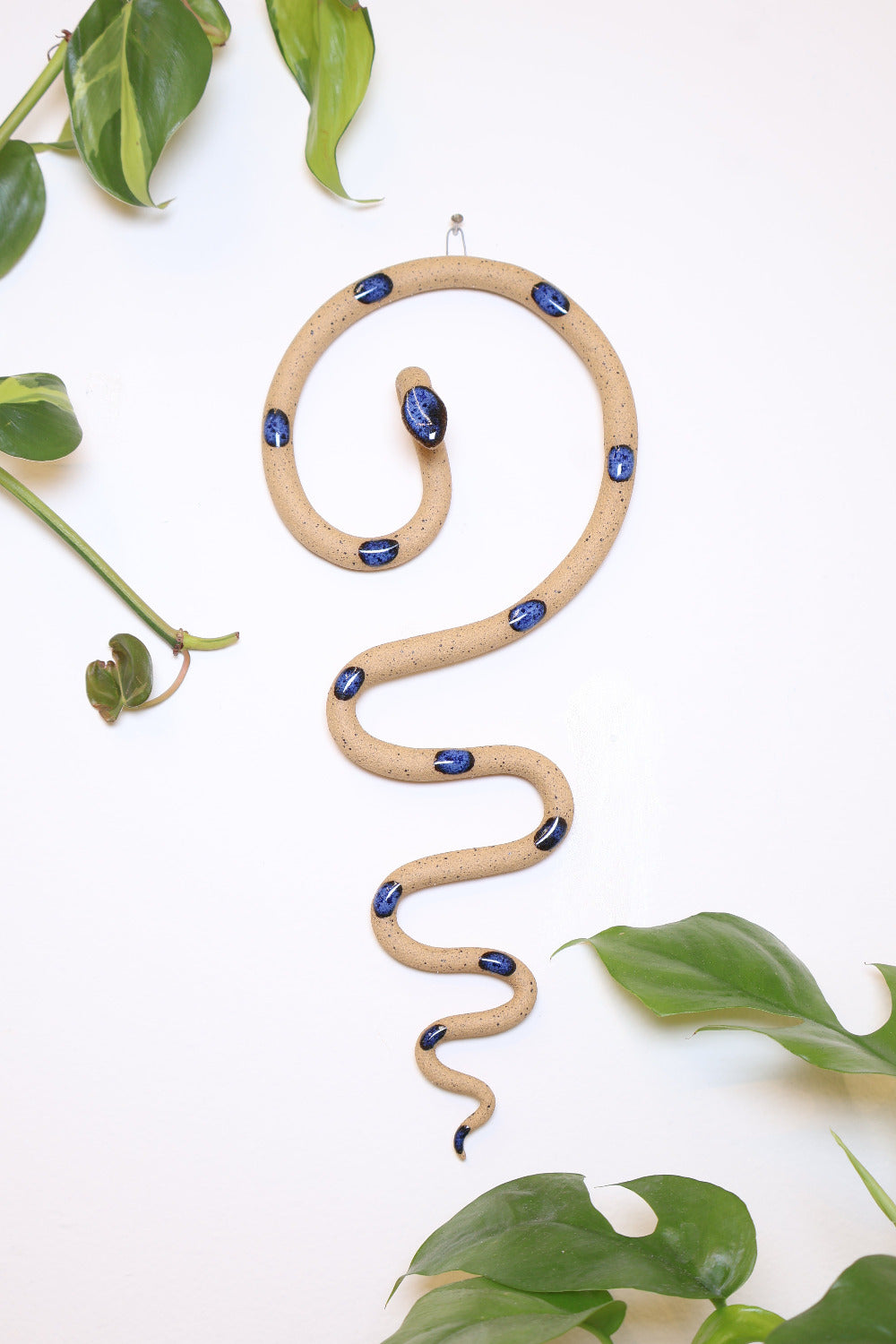 Simple contemporary ceramic snake wall decoration, with the top of the snake shaped loosely like a question mark and the tail hangs down in an organic s curve. This snake is Selena, speckled tan clay with blue glazed head and dots.