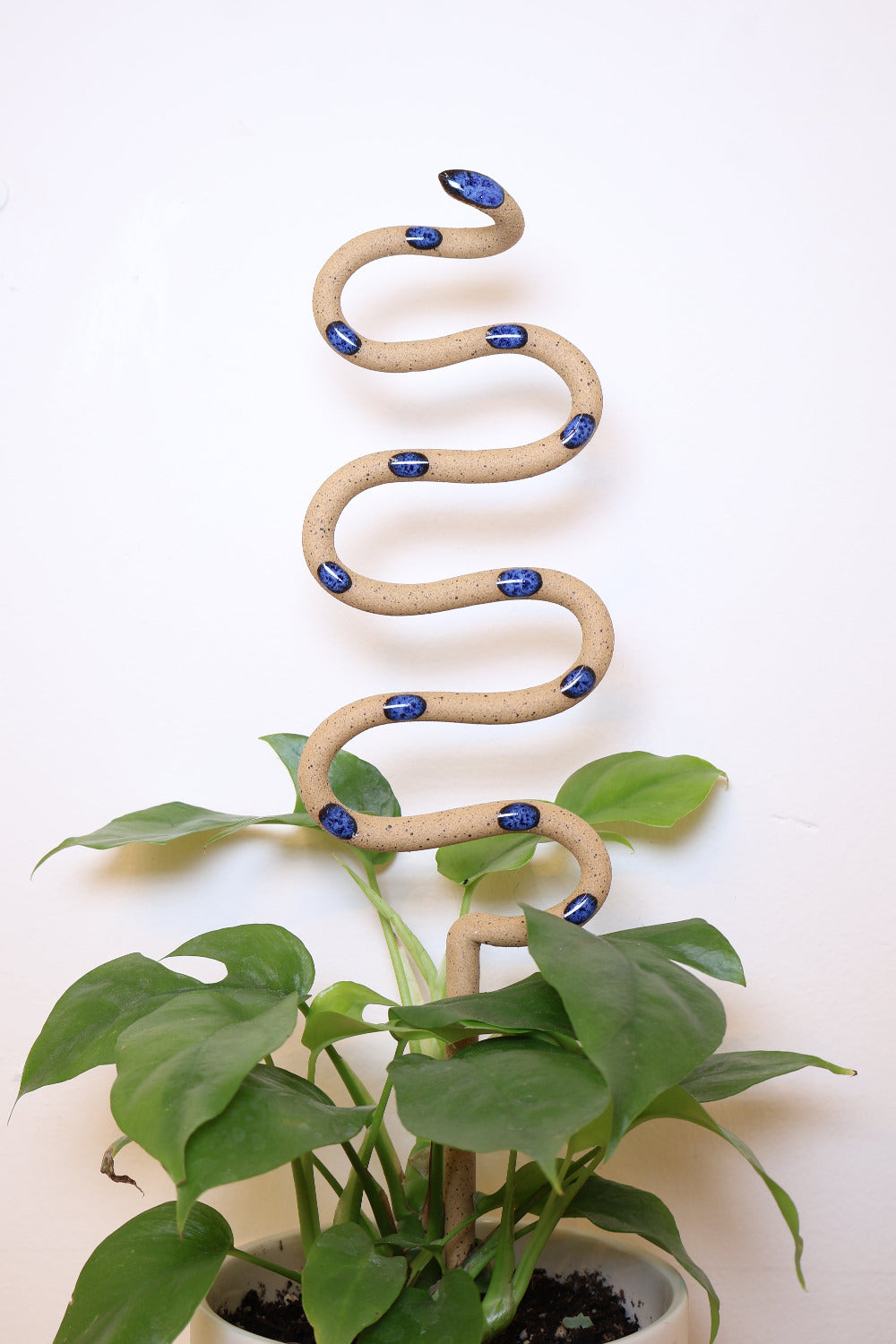 Selena colorway plant stake in a pot with a vining pothos. This snake is tan with blue spots. This is the large plant stake size.