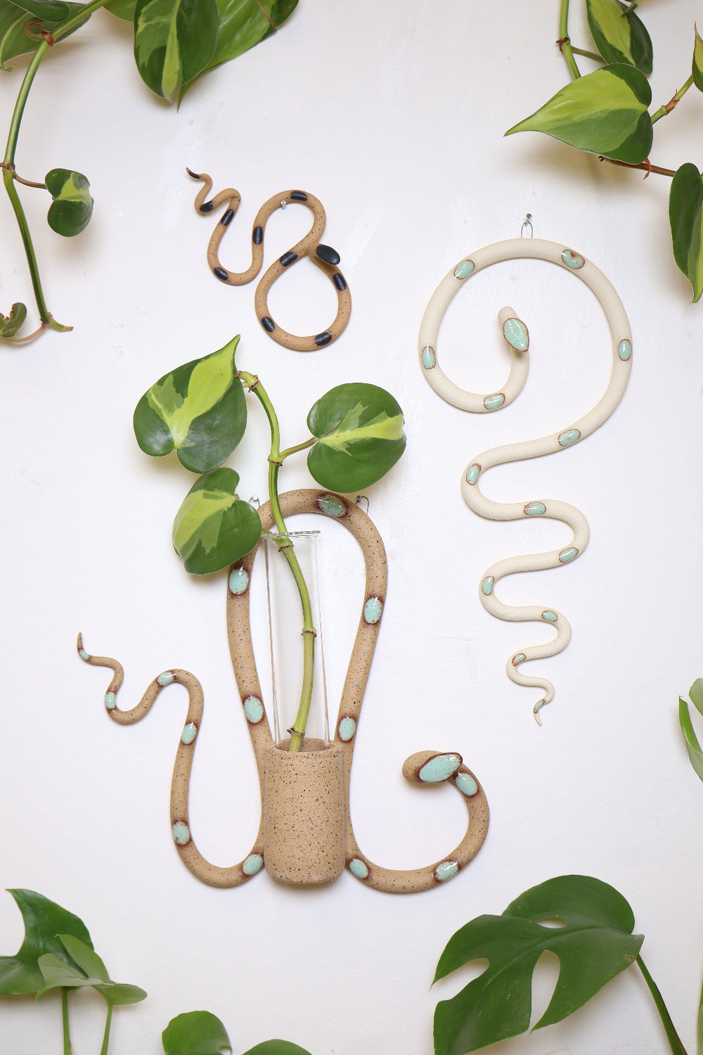 Desert propagation station set on a white wall surrounded by vining plants. This set is a small Sammy ceramic snake (speckled tan clay with black glaze dots), a Selma plant propagation station (speckled tan clay with light turquoise glaze dots) and a medium Sylvia wall snake (ivory clay with light turquoise glaze dots). 
