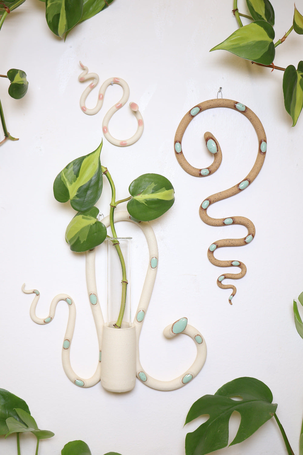 Desert propagation station set on a white wall surrounded by vining plants. This set is a small Sammy ceramic snake (speckled tan clay with black glaze dots), a Selma plant propagation station (speckled tan clay with light turquoise glaze dots) and a medium Sylvia wall snake (ivory clay with light turquoise glaze dots). 