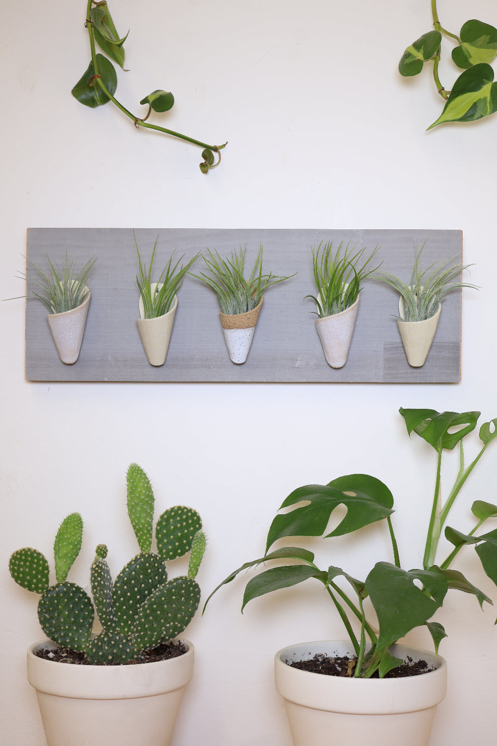 Five small ceramic cones on a horizontal pine wood board. Cone colors go from left to right: indigo, ivory, speckled white, indigo, ivory. The planter is styled with air plants in each of the cones and is hanging on a white wall above a couple of potted plants.