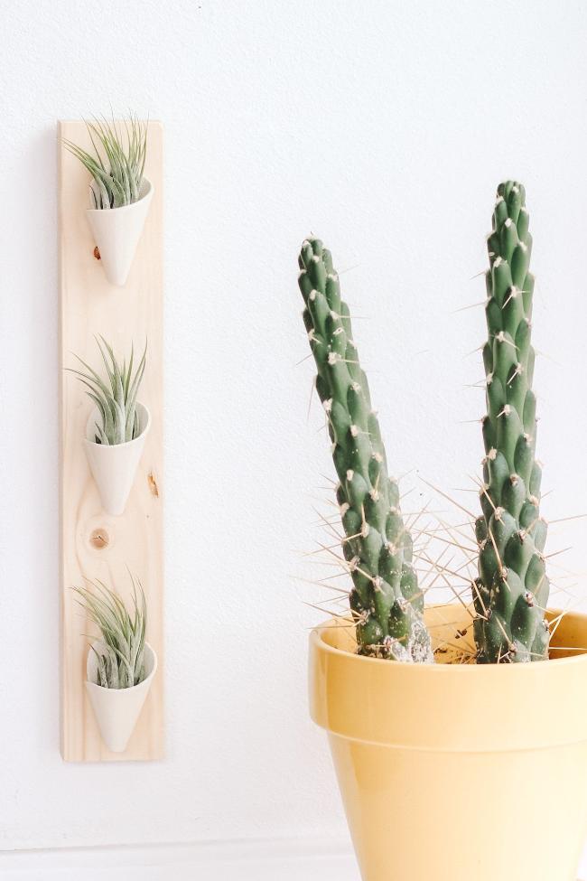 wall planters for air plants Triple Ceramic Wall Planter