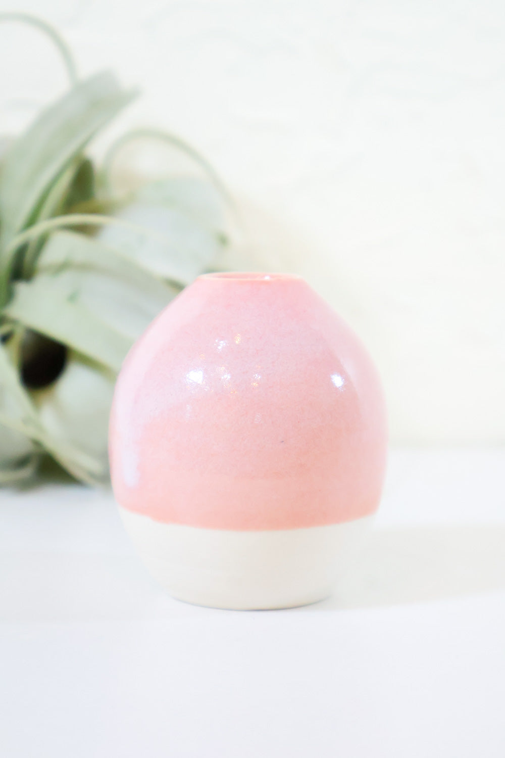 Meadow Bud Vase - Carter + Rose