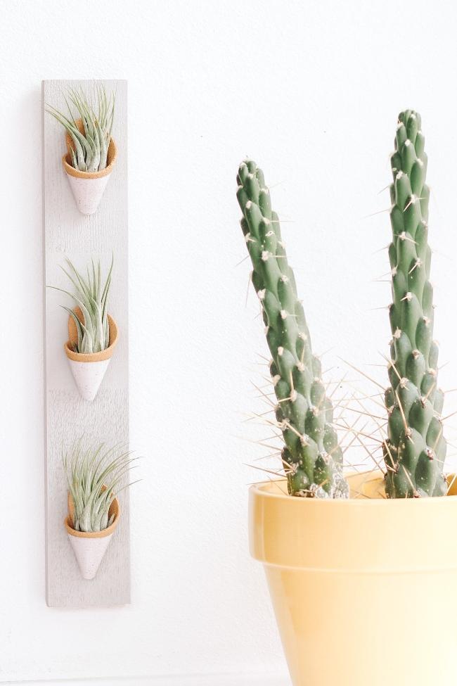 small pots for air plants Triple Ceramic Wall Planter