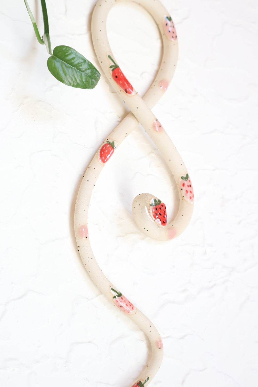 Strawberry Wall Snake - Carter + Rose