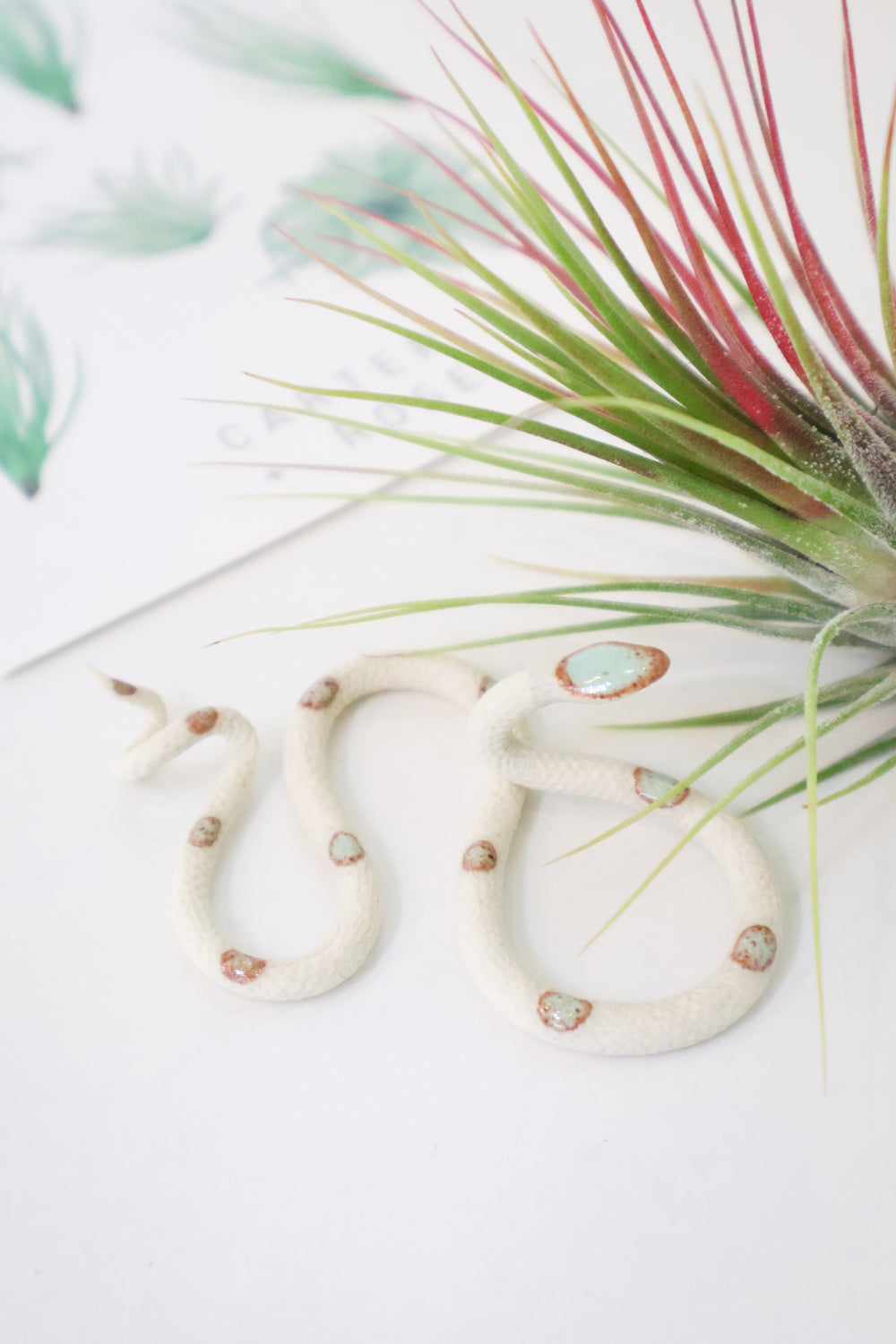 Itty bitty organic s-shaped pottery snake sculpture in the colorway Sylvia, ivory white clay body with a light turquoise glazed head and evenly spaced glazed dots.