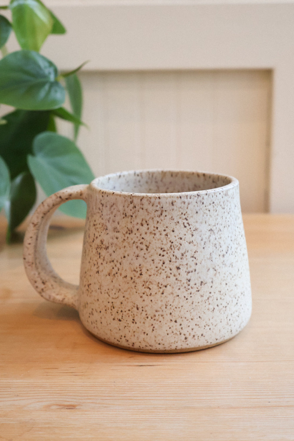 C+R Speckled Meteor Mug