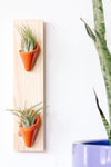 Carter + Rose Ceramic Wall Planter, Double