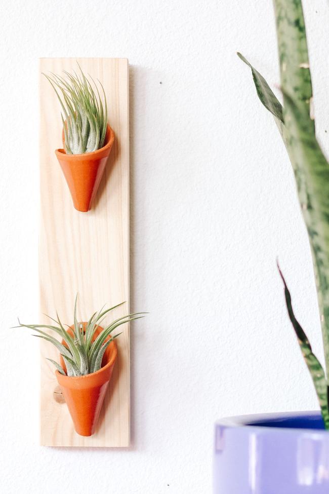 Two small terracotta ceramic cones on a thin vertical pine board styled with air plants inside the cones. 