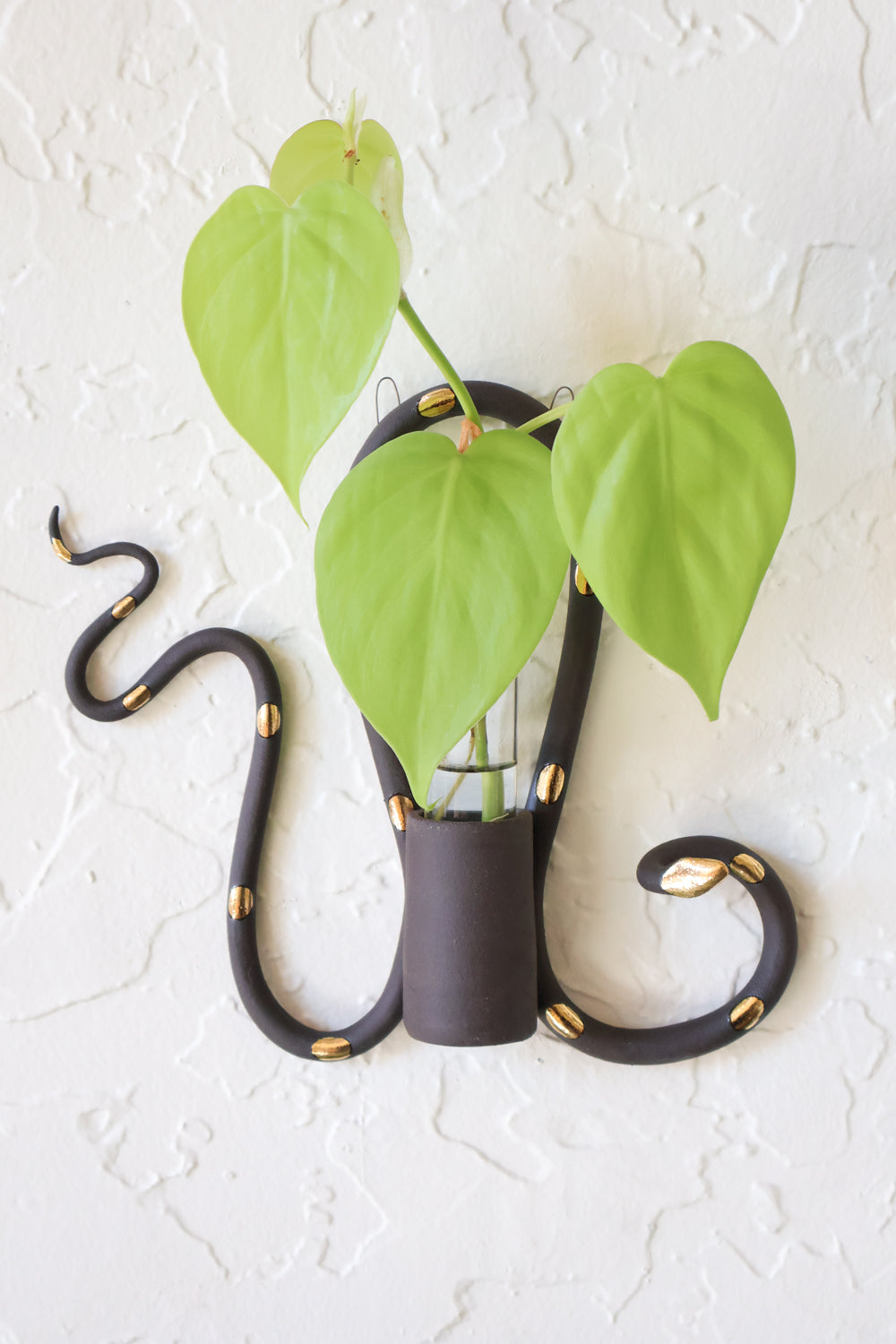 Wall Plant Propagation Station - Carter + Rose