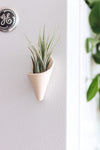 Carter + Rose Wall Planter, Magnet Collection