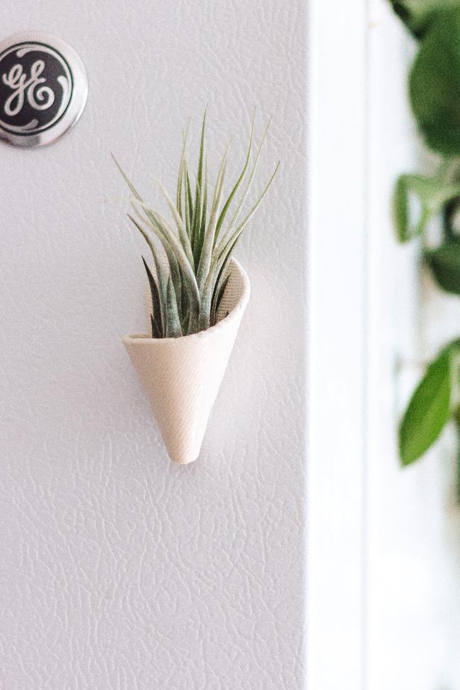 Small ivory magnetic ceramic cone. The cone is styled sticking to a fridge and is holding an air plant. 