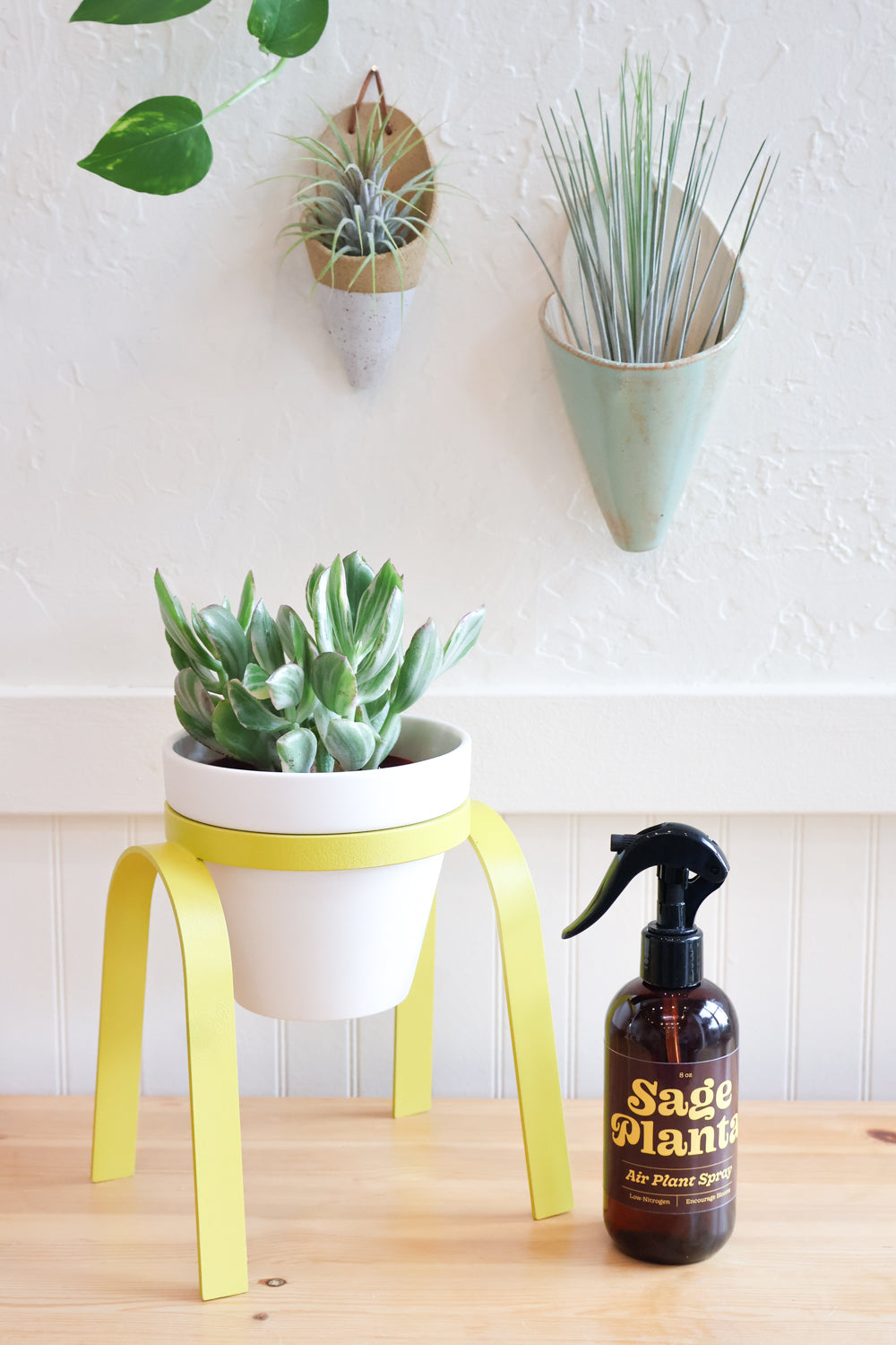 Bloom + Grow - Carter + Rose