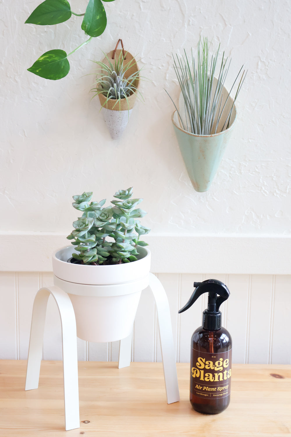 Bloom + Grow - Carter + Rose