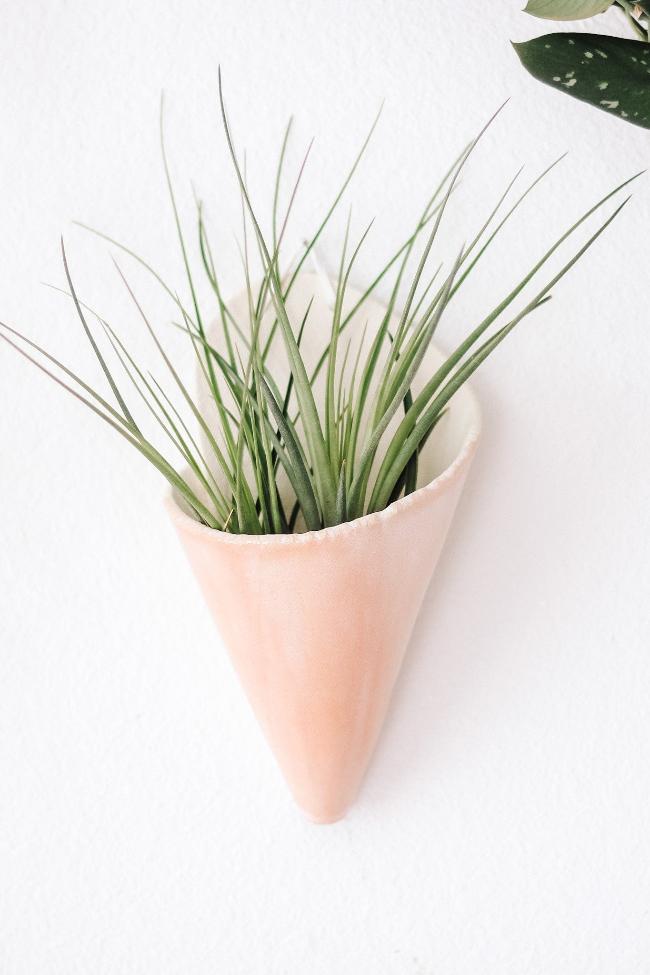 Modern speckled tan clay formed cone dipped in white glaze hanging on a wall from a faux leather loop and is holding a full green air plant.