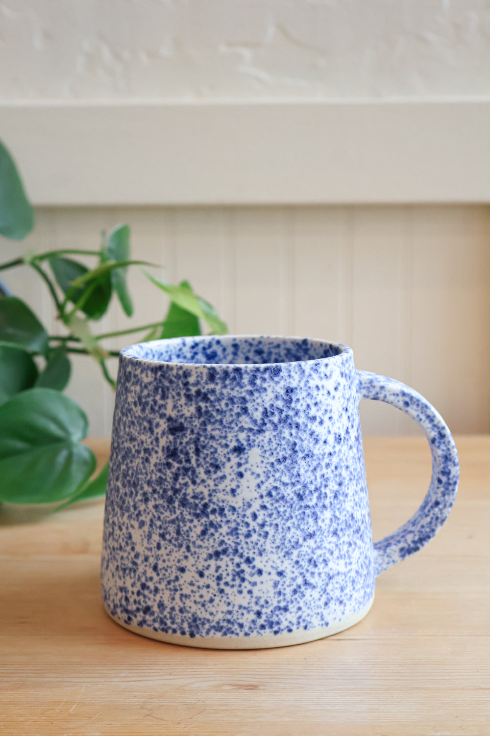 C+R Speckled Meteor Mug