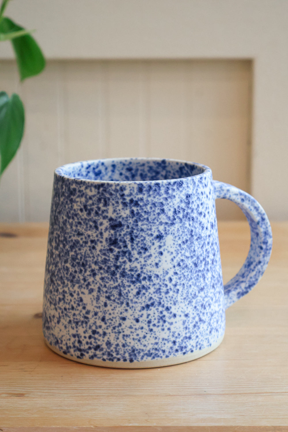 C+R Speckled Meteor Mug