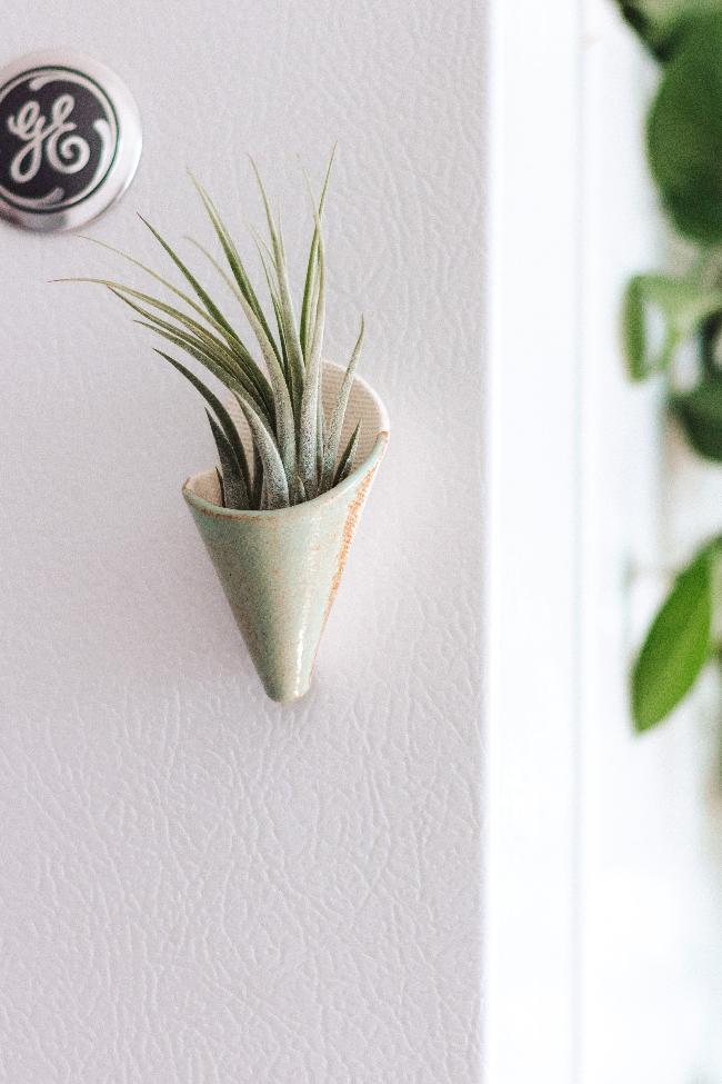 air plant magnet holder Mini Wall Planter Magnet