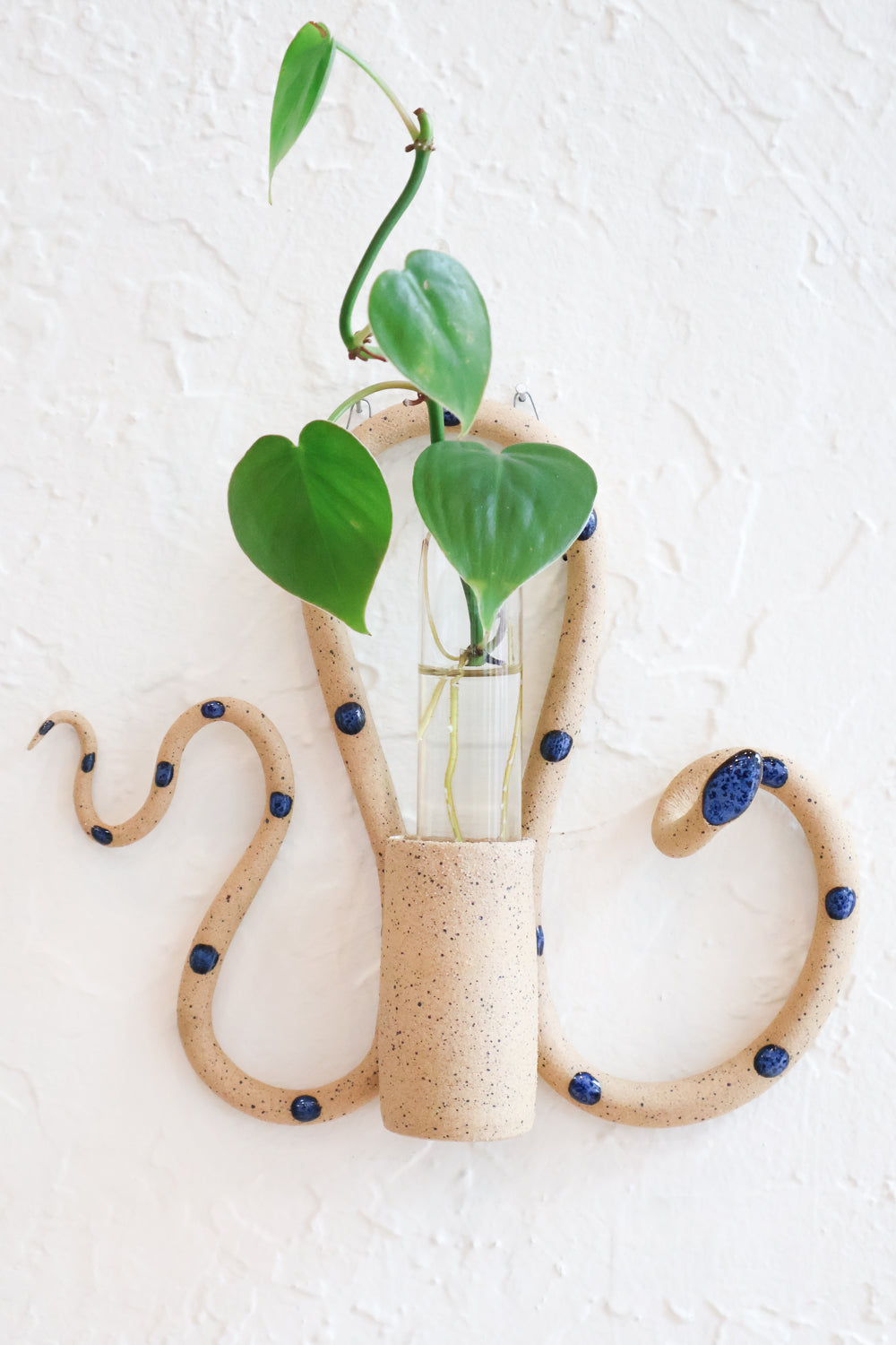 hanging plant propagation station Wall Plant Propagation Station