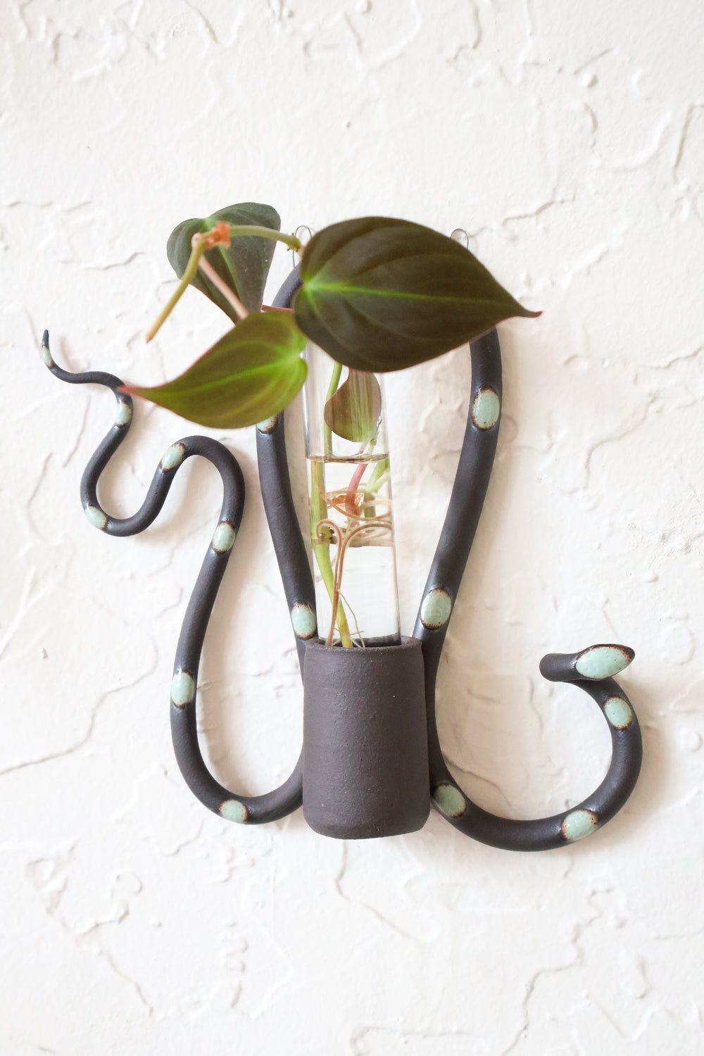 plant propagation wall hanging Wall Plant Propagation Station