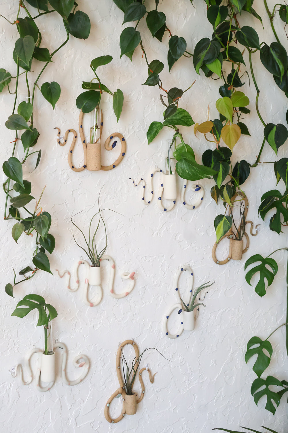 wall hanging money plant Wall Plant Propagation Station