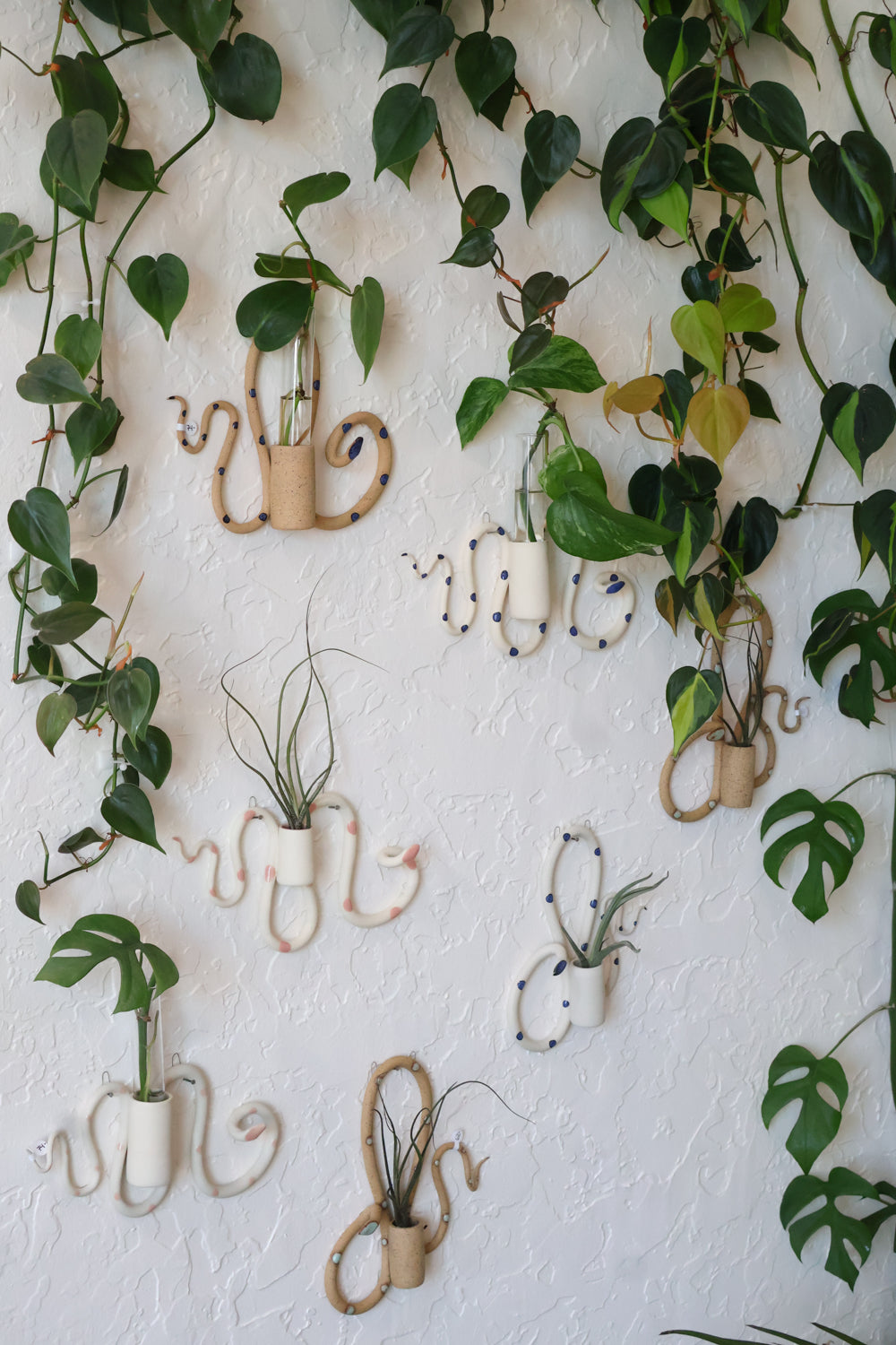 Wall Propagation Station
