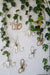 Wall Propagation Station