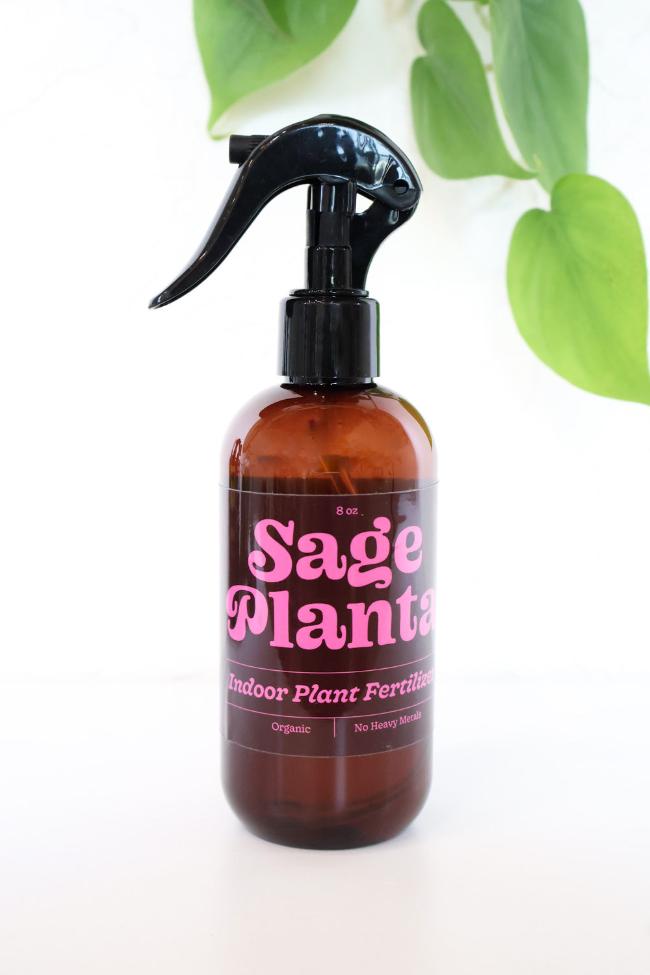 Air Plant Nourishing Spray - Carter + Rose