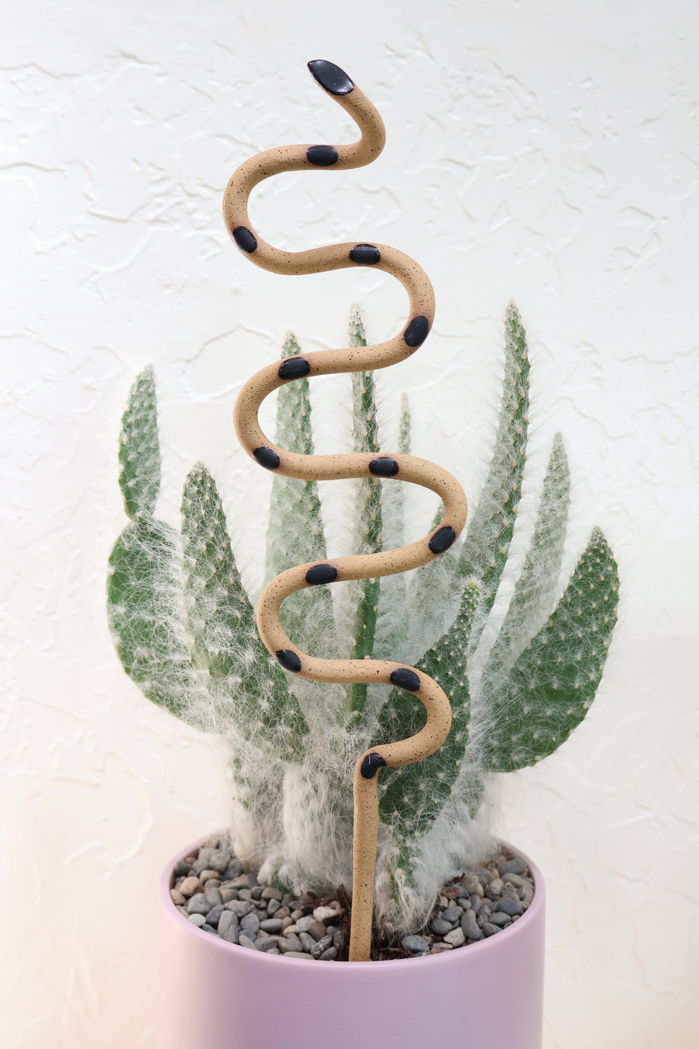 snake plant stick Ceramic Plant Snake Stake