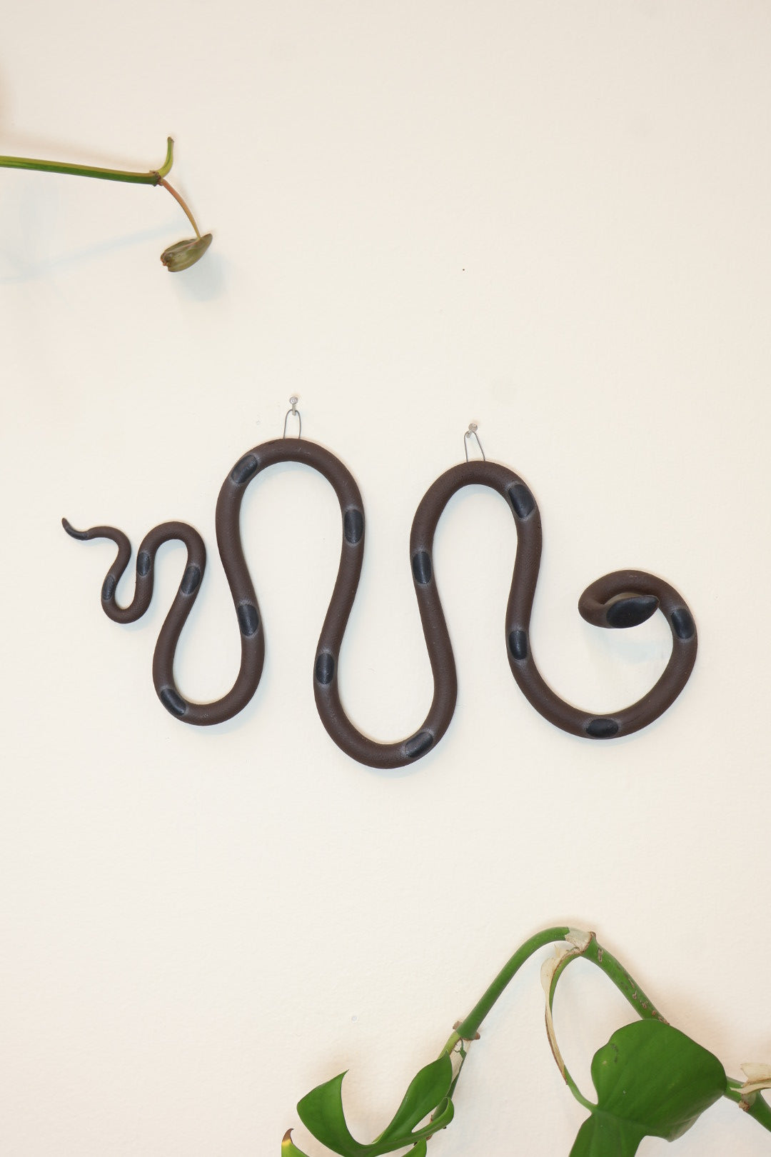 Horizontal wavy ceramic wall snake in the Saul colorway, dark chocolate clay base and black dots. It's hanging on a white wall with two small nails by its two small metal hooks.