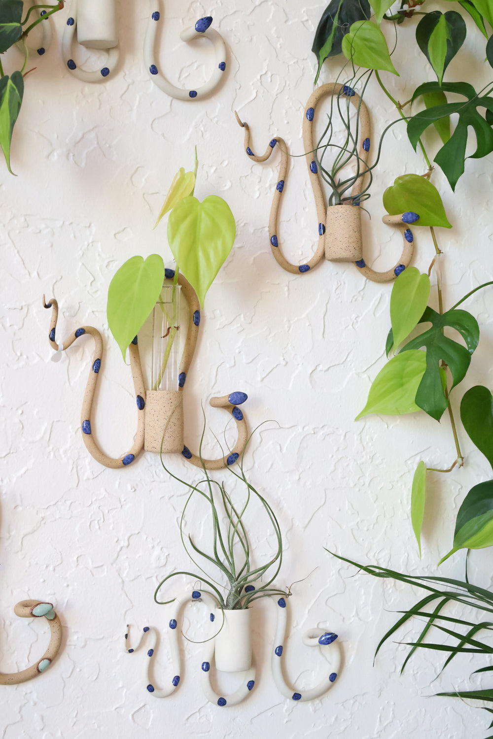 hanging plants on a wall Wall Plant Propagation Station