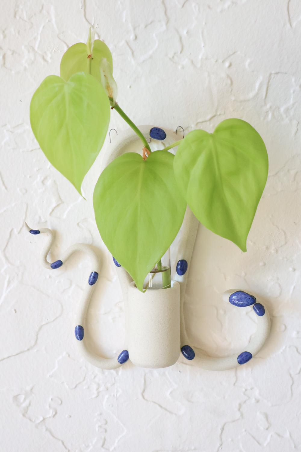 hanging plant propagation Wall Plant Propagation Station